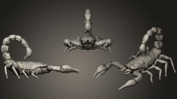 Статуэтки животных (Пустынный скорпион, STKJ_0875) 3D модель для ЧПУ станка